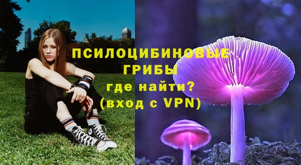альфа пвп Козельск