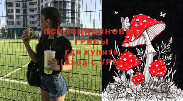 альфа пвп Козельск