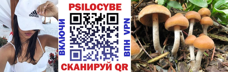 это Telegram  МЕГА ССЫЛКА  Кизел  Псилоцибиновые грибы MAGIC MUSHROOMS 